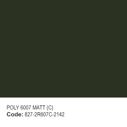 POLYESTER RAL 6007 MATT (C)